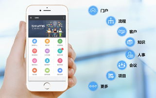 上海互联网软件集团 高端协同管理软件与安全服务解决方案